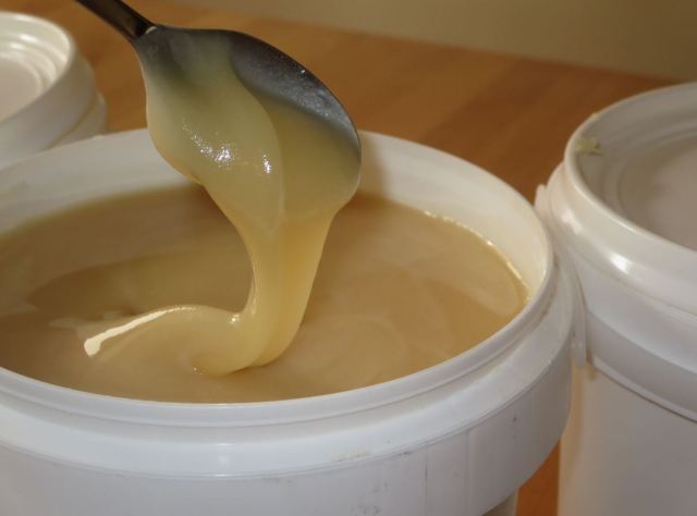 Making Creamed Honey | Bad Beekeeping Blog